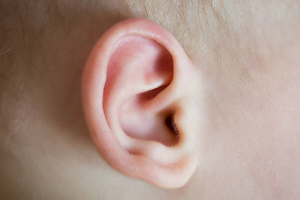 istock Baby's ear close-up macro. Human anatomy. 1188641482