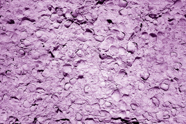 Shell rock stone close-up in purple tone. Abstract background and texture for design.