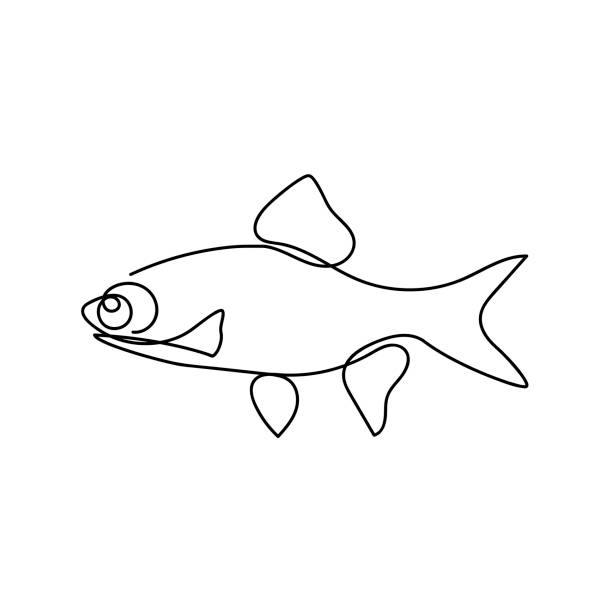 bildbanksillustrationer, clip art samt tecknat material och ikoner med kontinuerlig en linje ritning fisk. handritad minimalism stil. vektor illustration. svartvitt - parade