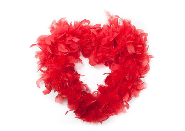 istock Heart of red feathers 118864768