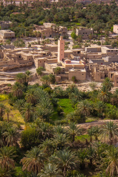 istock Palm Oasis Tata Morocco 1188650835