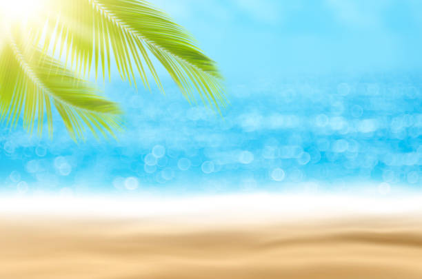 istock Blur beautiful nature green palm leaf on tropical beach with bokeh sun light wave abstract background. 1188650990