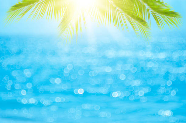 istock Blur beautiful nature green palm leaf on tropical beach with bokeh sun light wave abstract background. 1188651006
