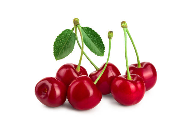 istock Some cherries with leaf closeup isolated on white background 1188652136