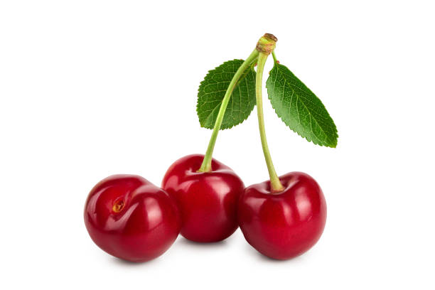 istock Three cherries with leaf closeup isolated on white background 1188652151