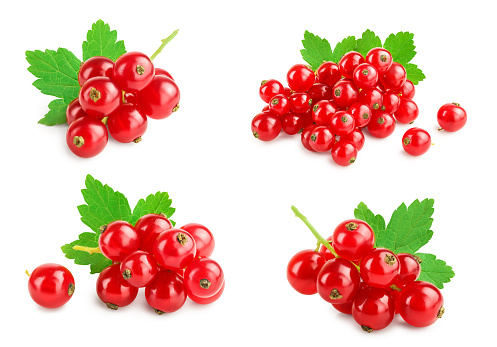 Red currant berries with leaf isolated on white background. Set or collection.