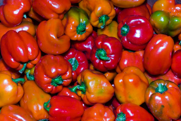 熟した、赤い、ジューシーなコショウ、市場で、美しいバックグルーン - pepper bell pepper market spice ストックフォトと画像