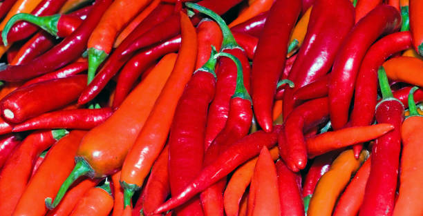 熟した、赤い、市場のジューシーなコショウ、背景 - pepper bell pepper market spice ストックフォトと画像