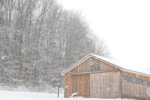 istock Snowy Day by Our Shed 1188654917