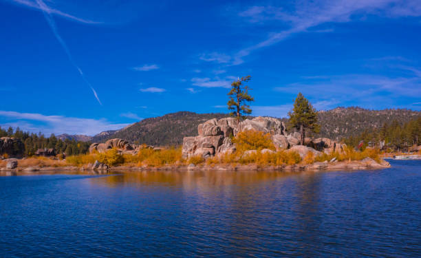 istock Song of autumn. 1188657217
