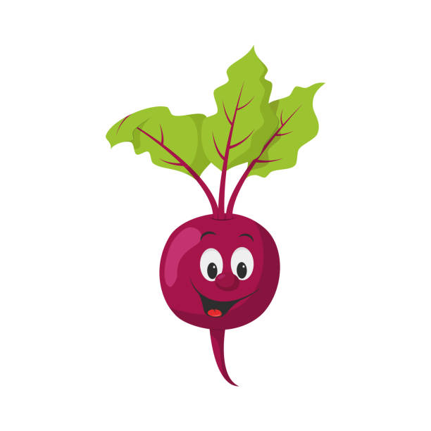 ilustraciones, imágenes clip art, dibujos animados e iconos de stock de colección de personajes de verduras: ilustración vectorial de una remolacha divertida y sonriente en estilo de dibujos animados. - beet common beet isolated red