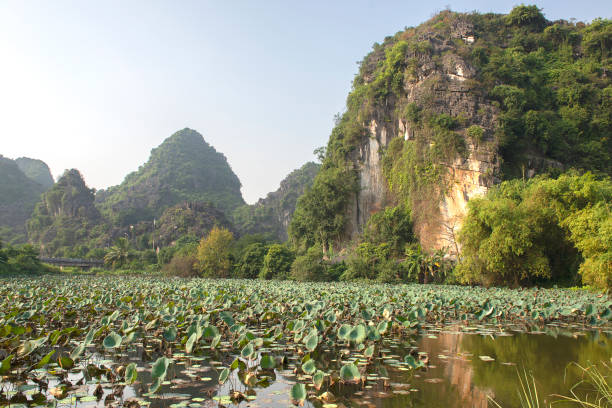 istock Panoramic view of karst formations and rice paddy fields in Tam Coc 1188659756