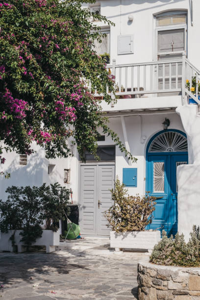 istock Typical Mykonian white house with blue front door pink blossoming tree in front, Mykonos, Greece. 1188661074