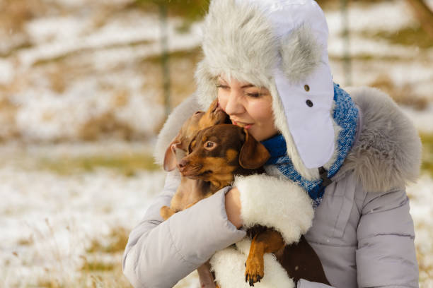 istock Woman playing with dogs during winter 1188662591