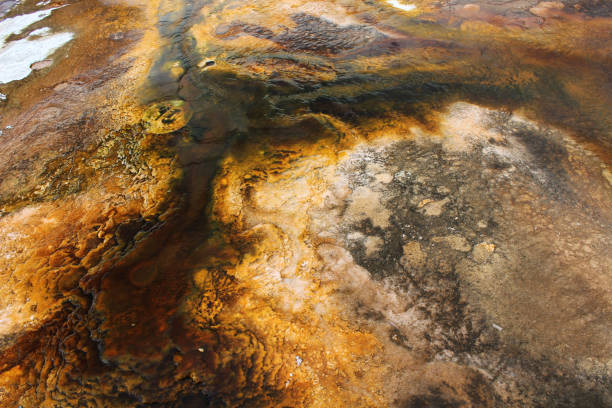 istock Sulfur water in the yellowstone nationalpark 1188663172