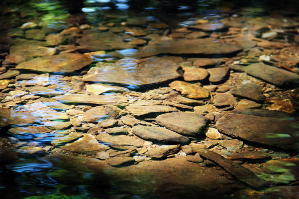 istock Sun Shining on the Bed of a Stream 1188669175