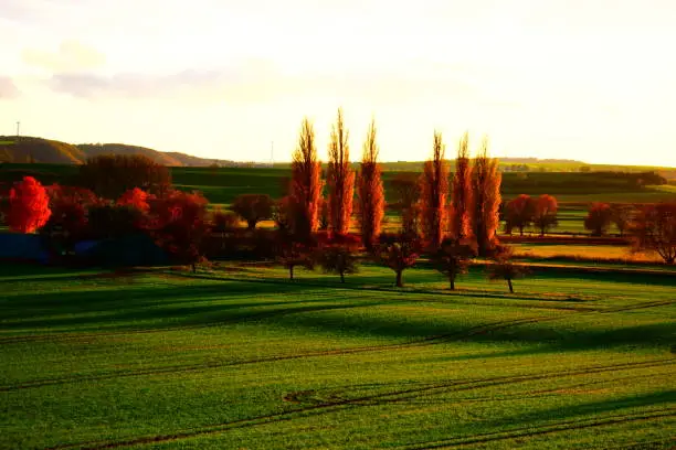 Photo of autumn in the Eifel