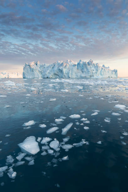 Iceberg at sunset. Nature and landscapes of Greenland. Disko bay. West Greenland. Summer Midnight Sun and icebergs. Big blue ice in icefjord. Affected by climate change and global warming. Disko Bay during midnight sun Ilulissat, Greenland. Studying of a phenomenon of global warming Ices and icebergs. Beautiful background landcape concept ilulissat photos stock pictures, royalty-free photos & images