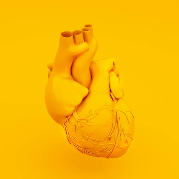 istock Yellow Anatomical Heart Concept. 3D illustration 1188669857