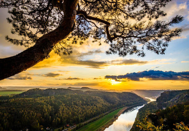 istock view at the famous bastei hills 1188670950
