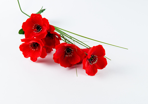 Red poppies artificial flowers on a white background.