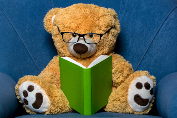 istock teddy reads a book on the chair 1188672077