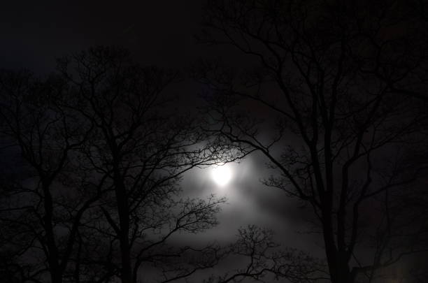 istock Full misty moon behind trees in Sandbach England 1188673641