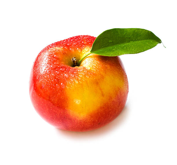 Fresh apple stock photo