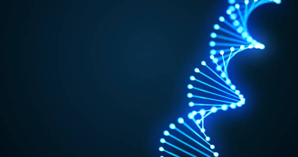 spirala 3d dna, cząsteczka genu lub komórka chromosomowa niebieskiego światła na czarnym tle. spirala cząsteczki dna, komórka genomu dla nauki molekularnej i technologia ludzkiej medycyny genetycznej - genetic modified food stock illustrations