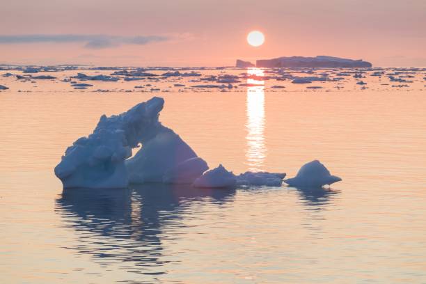 Iceberg at sunset. Nature and landscapes of Greenland. Disko bay. West Greenland. Summer Midnight Sun and icebergs. Big blue ice in icefjord. Affected by climate change and global warming. Disko Bay during midnight sun Ilulissat, Greenland. Studying of a phenomenon of global warming Ices and icebergs. Beautiful background landcape concept midnight sun stock pictures, royalty-free photos & images