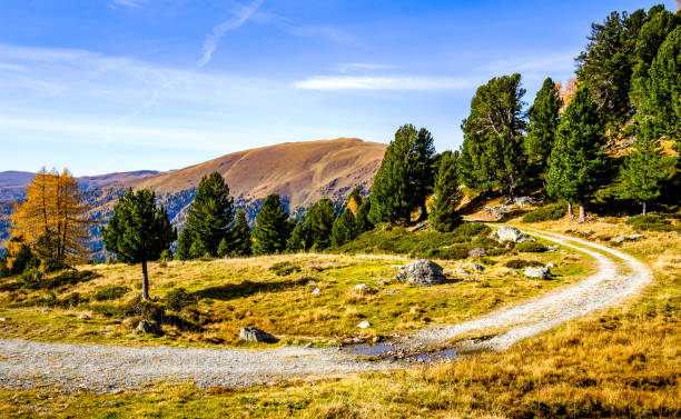 オーストリアのノックベルゲ山 - european alps austria autumn colors ストックフォトと画像