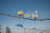 Three wine filled glasses and vine against blue winter sky