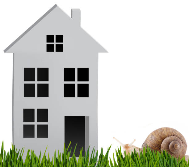 istock image of stylized house in the garden 1188680713