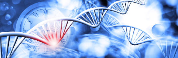 istock abstract 3d image of dna chain on blurred background 1188680739