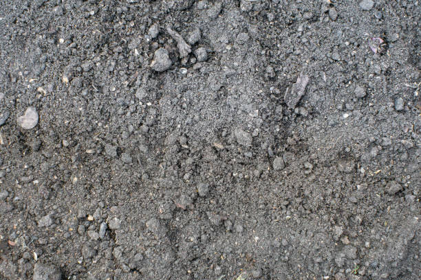 istock Top view of seamless dark soil texture background. 1188684561
