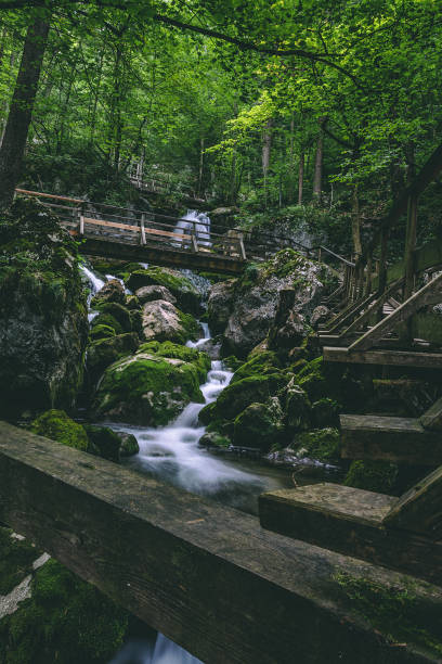 istock Waterfall and wooden bridge in a forest 1188685304