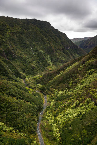 aerial view of na pali coast state wilderness park shot from the helicopter on kauai island, hawaii islands, usa.