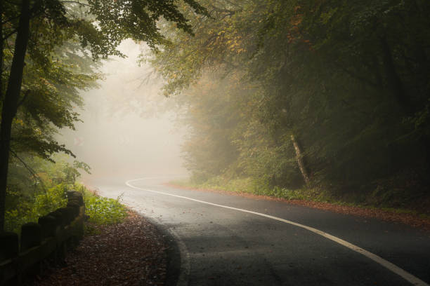 Twisted road through a beautiful forest in the mountains during autumn on a foggy dreamlike fairytale day stock photo