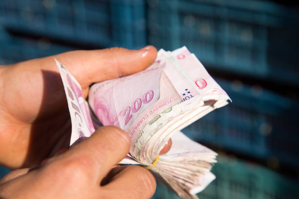 istock Unrecognizable person counting Turkish banknotes 1188686347