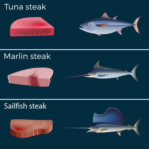 붉은 고기 생선 세트 - marlin prepared fish sushi raw stock illustrations