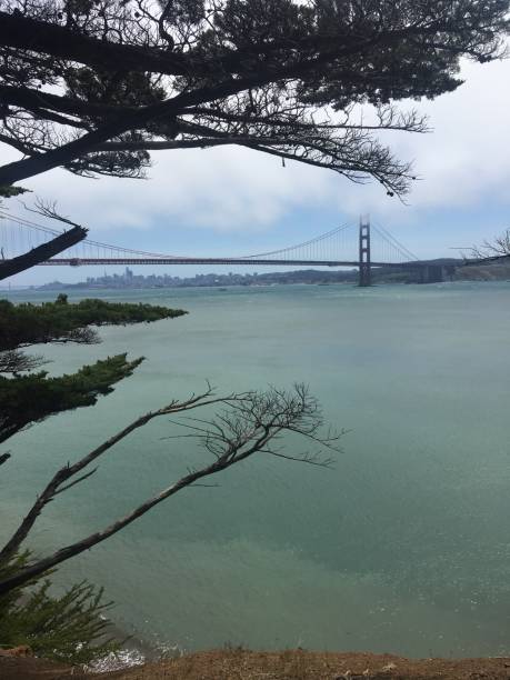 istock Golden Gate Bridge from the Marin headlands woods 1188691556