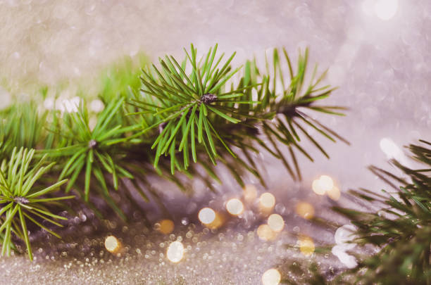 istock Decorated Christmas tree and light on blurred background. 1188693503