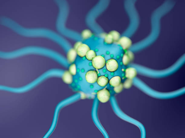 istock T Lymphocytes and Cancer Cell 1188694279