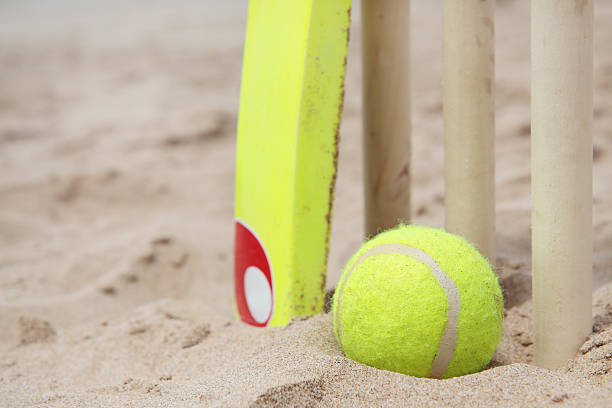 istock Close up view of items for beach cricket  118869765