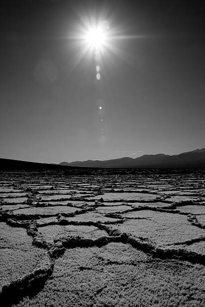 istock Crystalised dry salt lake bed in California 118869800