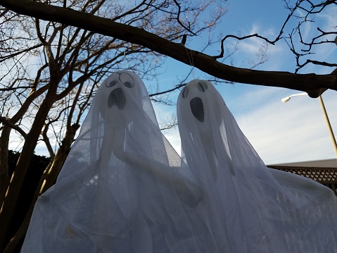 white cloth ghosts decorations hanging from tree branch