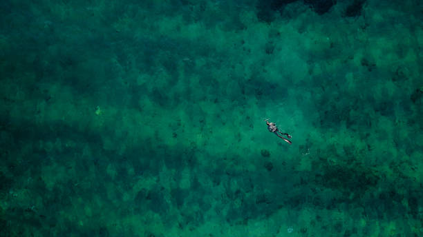 Aerial drone view: spearfishing at sea DCIM\100MEDIA\DJI_0022.JPG fish swimming from above stock pictures, royalty-free photos & images