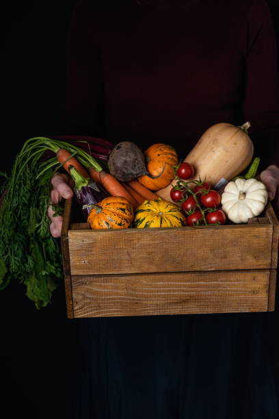 istock female hands holding wooden box with vegetables assortment 1188702891