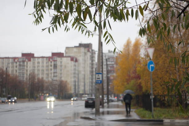 City road on a rainy autumn day