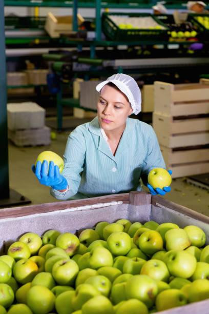 istock Young woman working at fruit warehouse, checking apples in boxes before storage or delivery to stores 1188713179
